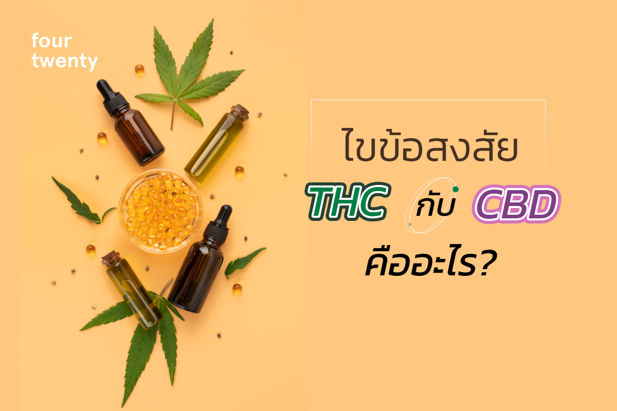 What Are THC and CBD? How They Differ and What They Do